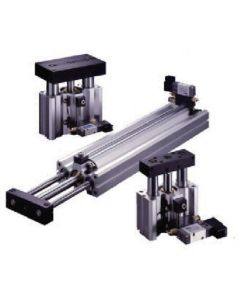 Twin Guide Cylinder 1เส้น