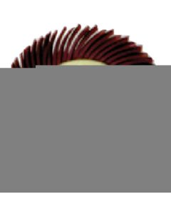 Radial Bristle Marguerite Disc