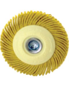 Radial Bristle Margaret Disc