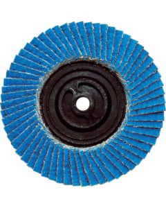 Flap Disc for Stainless steel Blues (10 Set)