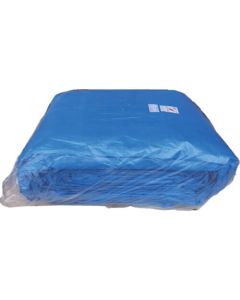 Blue Sheet #3000