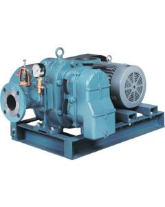 Blower Pumps-BS type (Discharge & Vacuum System) 1อัน