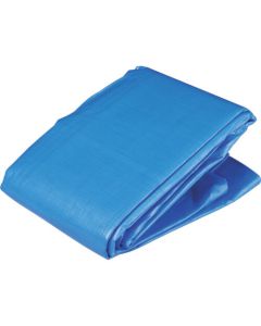 Blue Sheet α #3000