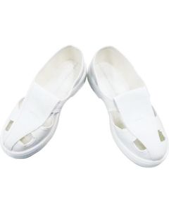 Anti-Electrostatic Shoes