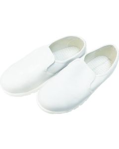 Anti-Electrostatic Shoes