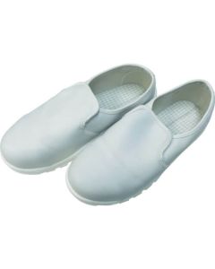 Anti-Electrostatic Shoes