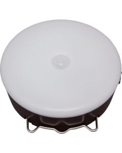 Sensor Light 1อัน