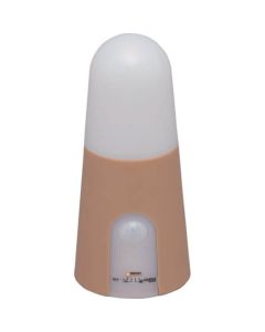 Sensor Light 1อัน