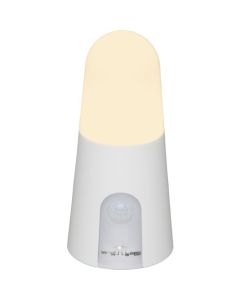 Sensor Light