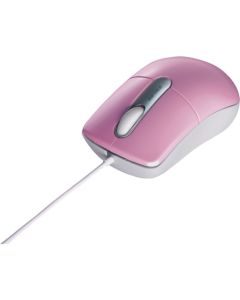 Wired mouse  อันละ 1 อัน