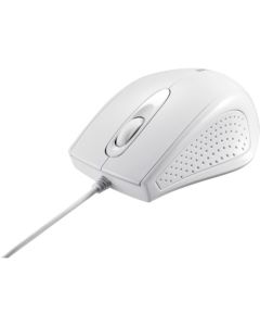 Wired mouse  อันละ 1 อัน