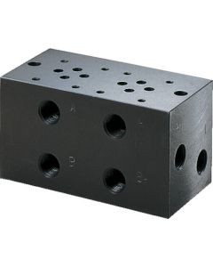 Manifold Block