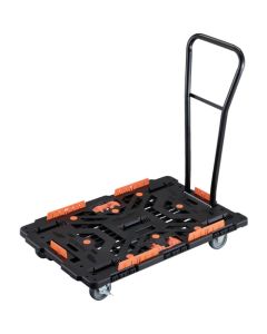 Beetle