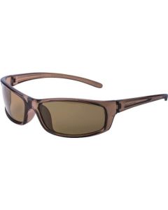 Sunglass Entry Model