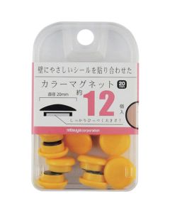 Color Magnets 5 อัน อันละ 12 อัน