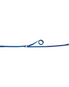 Lashing Belt