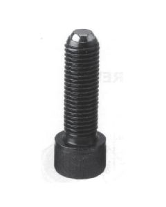 สกรูยึด (ชนิด BF) ชนิดแบน M16 x 89