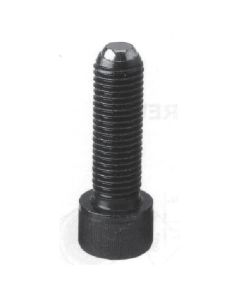 สกรูยึด (ชนิด BF) ชนิดแบน M6 x 14