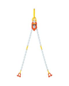 Chain Ecoriser(CE type)