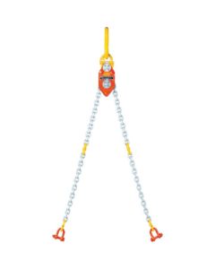 Chain Ecoriser(CE type)