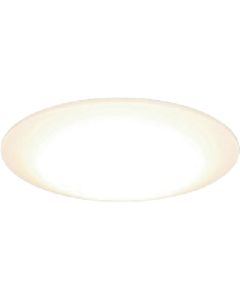 LED Light