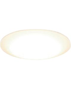 LED Light