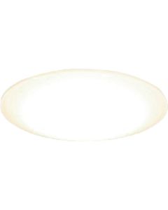 LED Light