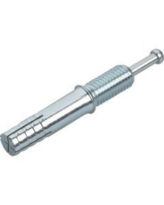 All Anchor CF type(Steel) 100เส้น