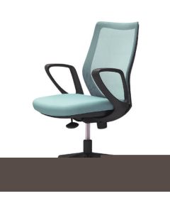 CG21ZR FZK6 1ตัว