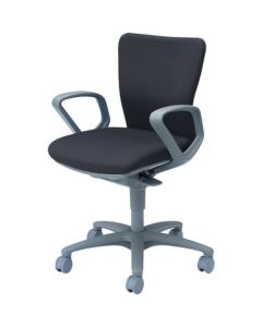 Low Back Ergonomics Chair Carrozza