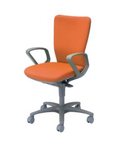 Low Back Ergonomics Chair Carrozza