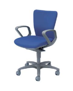 Low Back Ergonomics Chair Carrozza
