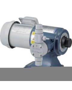 Metering Pumps 1อัน