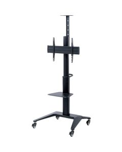 Display Stand