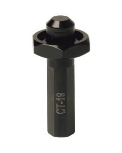 CT-19 1อัน