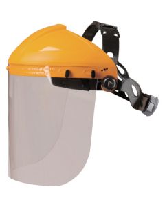 Face shield
