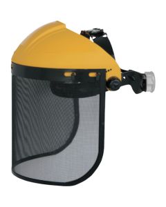 Face shield