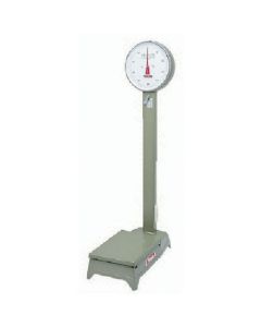 Dial platform scale 1อัน