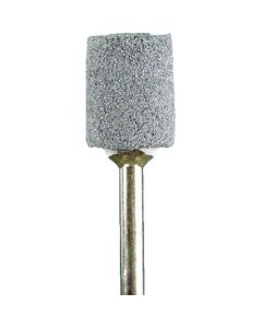 PVA Mounted Points