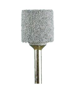 PVA Mounted Points