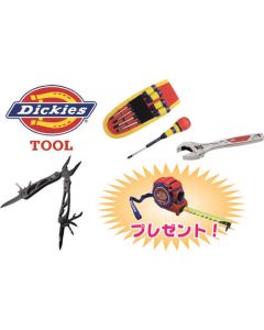 Dickies DIY ชุดโฮม