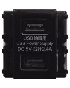 DM2-U2P2-BL 1อัน