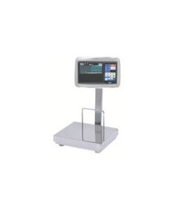 Digital Platform Scale 1อัน