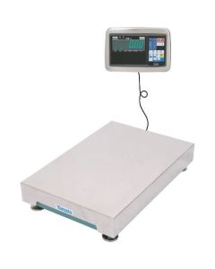 Digital Platform Scale 1อัน
