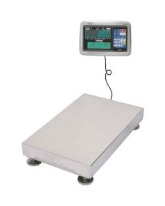Digital Platform Scale 1อัน