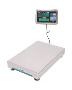 Digital Platform Scale 1อัน
