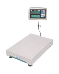เครื่องชั่งดิจิตอลแพลตฟอร์ม DP-5604D-300C