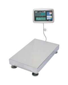 Digital Platform Scale 1อัน