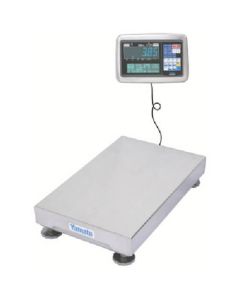 Digital Platform Scale 1อัน