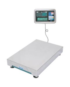 Digital Platform Scale 1อัน